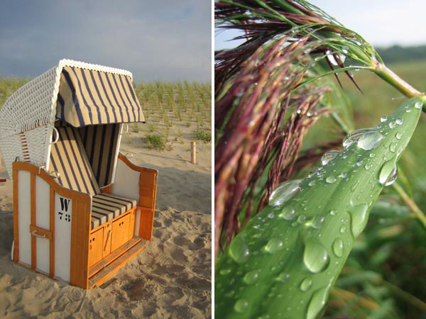 Ostsee - Strandkorb und Schilf