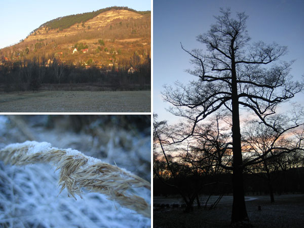 Jena Oberaue/Paradies