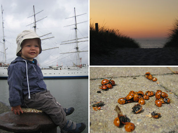 Ostsee 2009