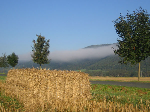 Herbstanfang 2010