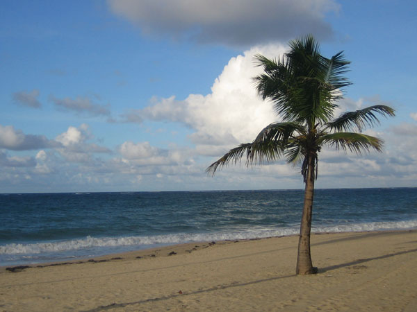 Puerto Rico - Strand