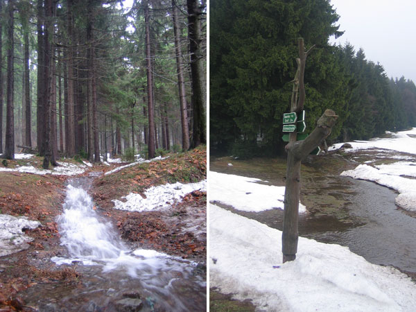 Rennsteig Schneeschmelze