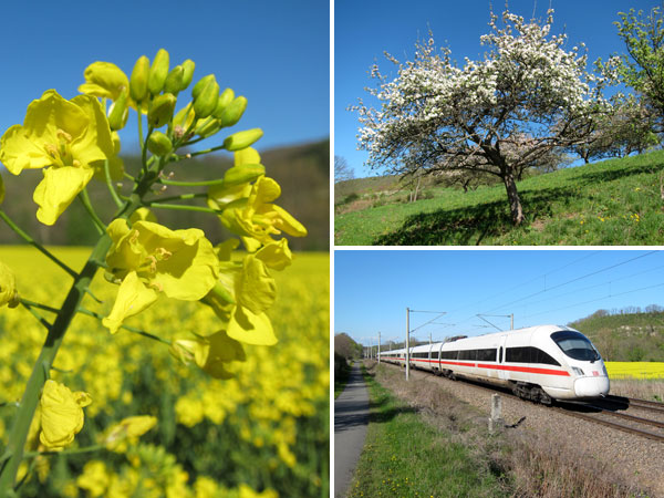 Frühling im Saaletal