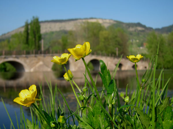 Burgauer Wehr