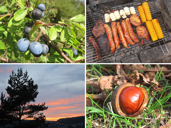 Jenziggarten / Herbst